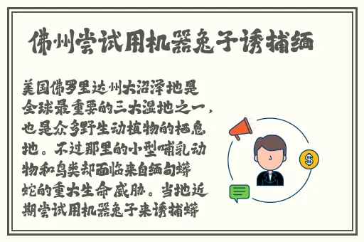 嘟嘟嘟影院高清在线观看
